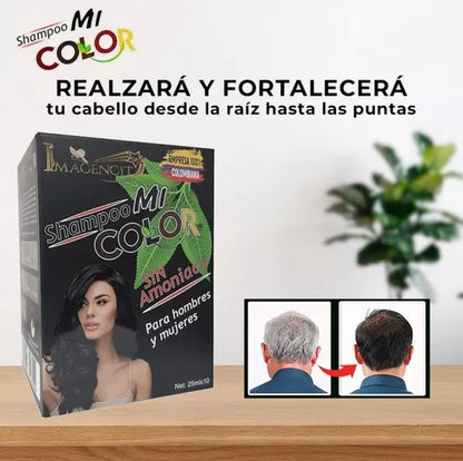 SHAMPOO CUBRE CANAS  NEGRO